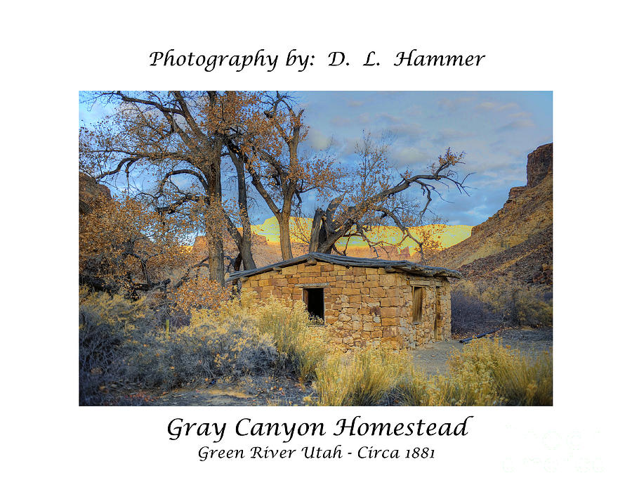 Gray Canyon Homestead #1 Photograph by Dennis Hammer