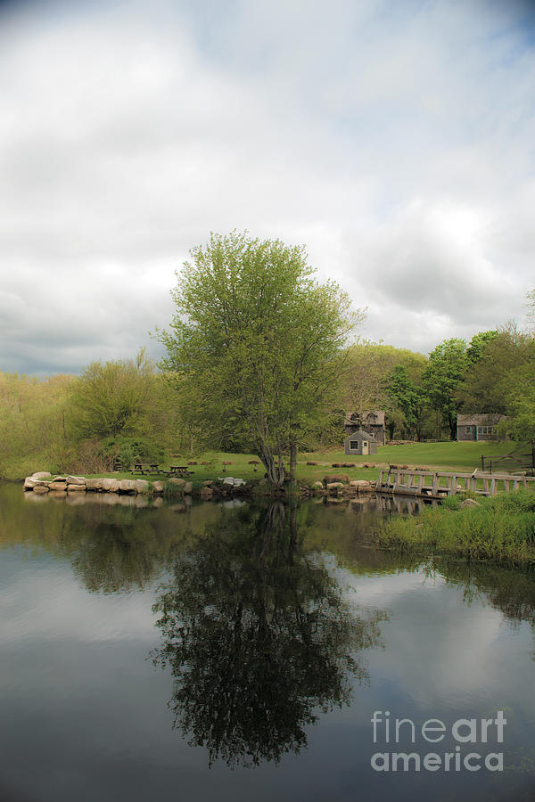 Grays Mill Pond #1 Photograph by Angela DeFrias