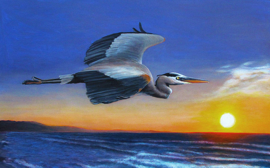 Great Blue Heron Sunrise Flight Painting