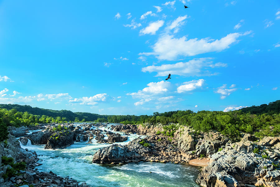 Great Falls Of The Potomac #1 Photograph by Drnadig