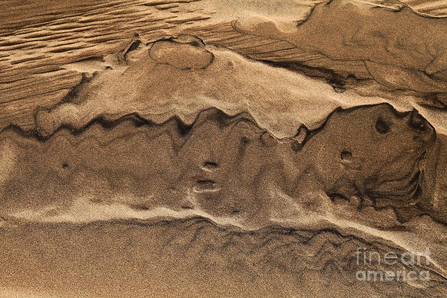 Dog Photograph - Great Sand Drawing #1 by Adam Jewell