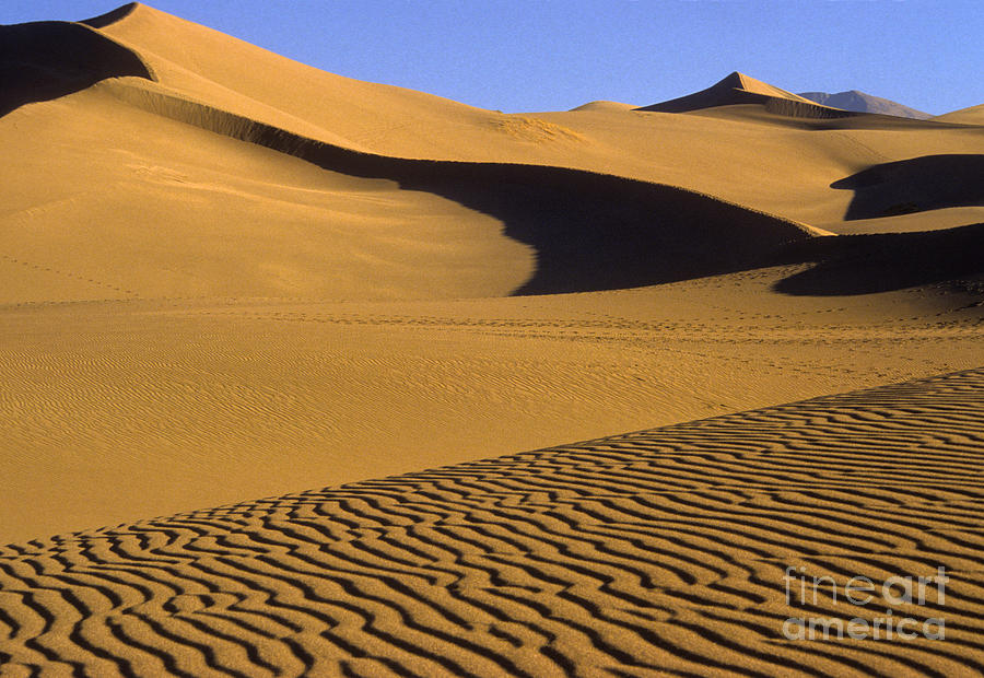 Great Sand Dunes National Park Photograph - Great Sand Dunes National Park & #1 by Richard and Ellen Thane