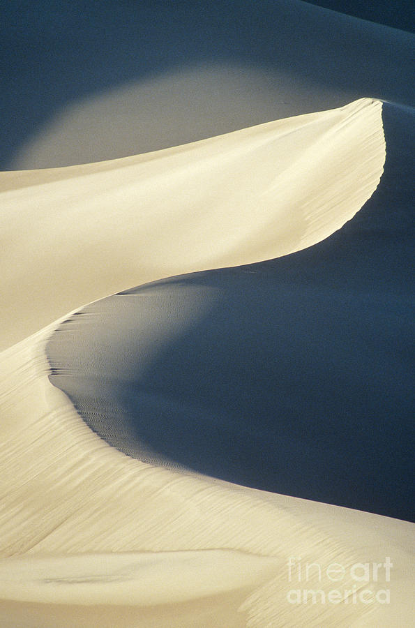 Great Sand Dunes National Park Photograph - Great Sand Dunes National Park #1 by Mark Newman
