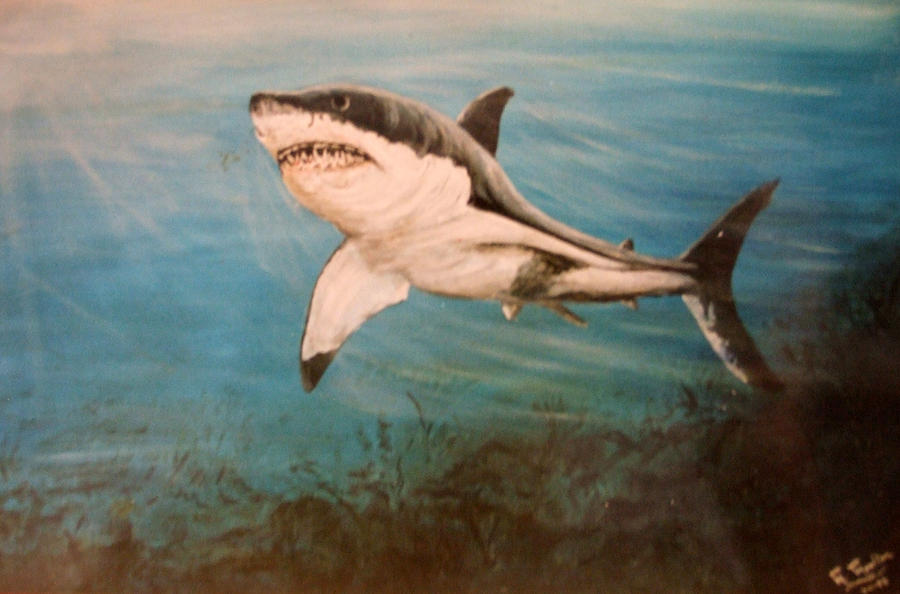 Great White Shark #2 Painting by Mackenzie Moulton