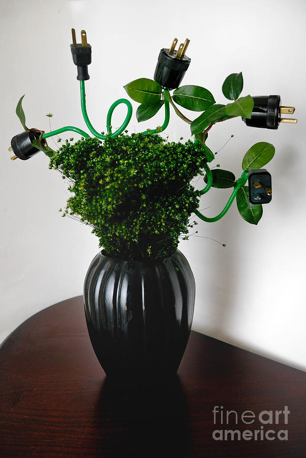Flowers Still Life Photograph - Green Energy Floral Arrangement of Electrical Plugs #1 by Amy Cicconi