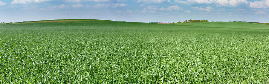 Nature Photograph - Green Field #1 by Wladimir Bulgar/science Photo Library