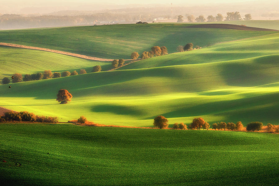 Green Fields #1 Photograph by Piotr Krol (bax)