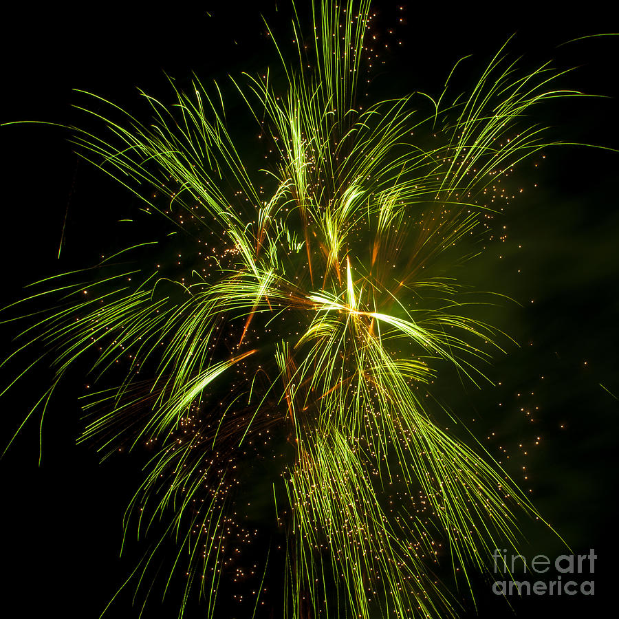Salem Photograph - Green Firework #1 by M J