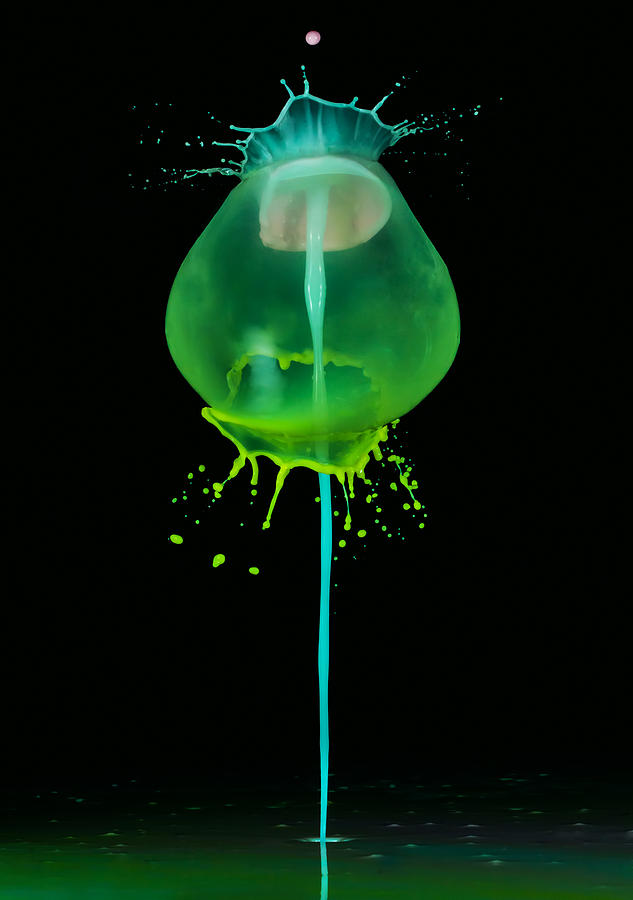 Green jelly #2 Photograph by Jaroslaw Blaminsky