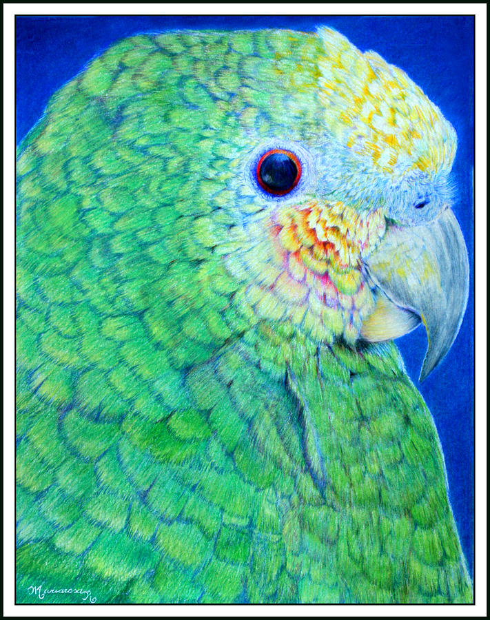 Green Parrot #2 Painting by Mariarosa Rockefeller