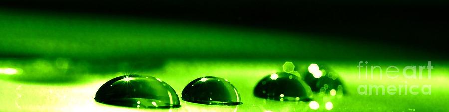 Green Photograph - Green #1 by Sylvie Leandre