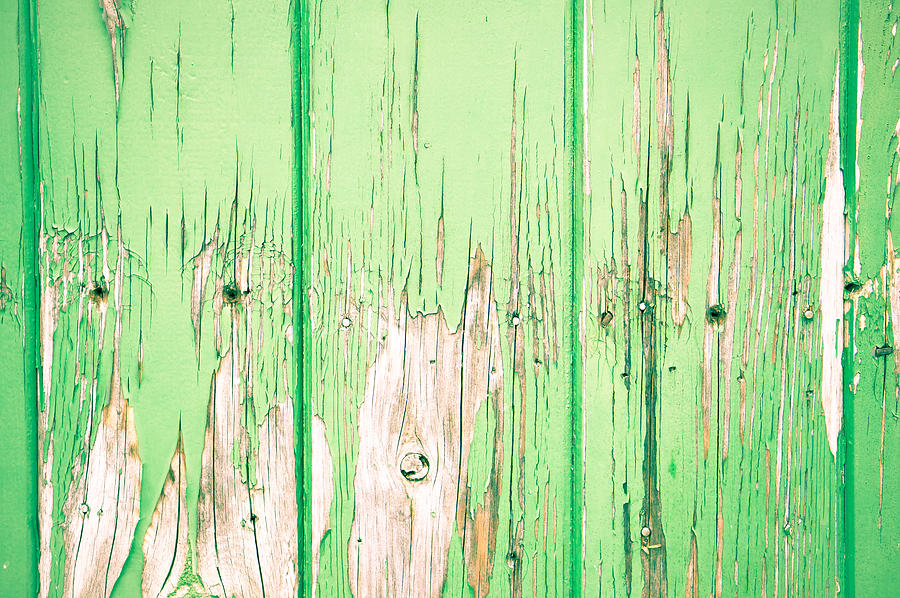 Abstract Photograph - Green wood #1 by Tom Gowanlock