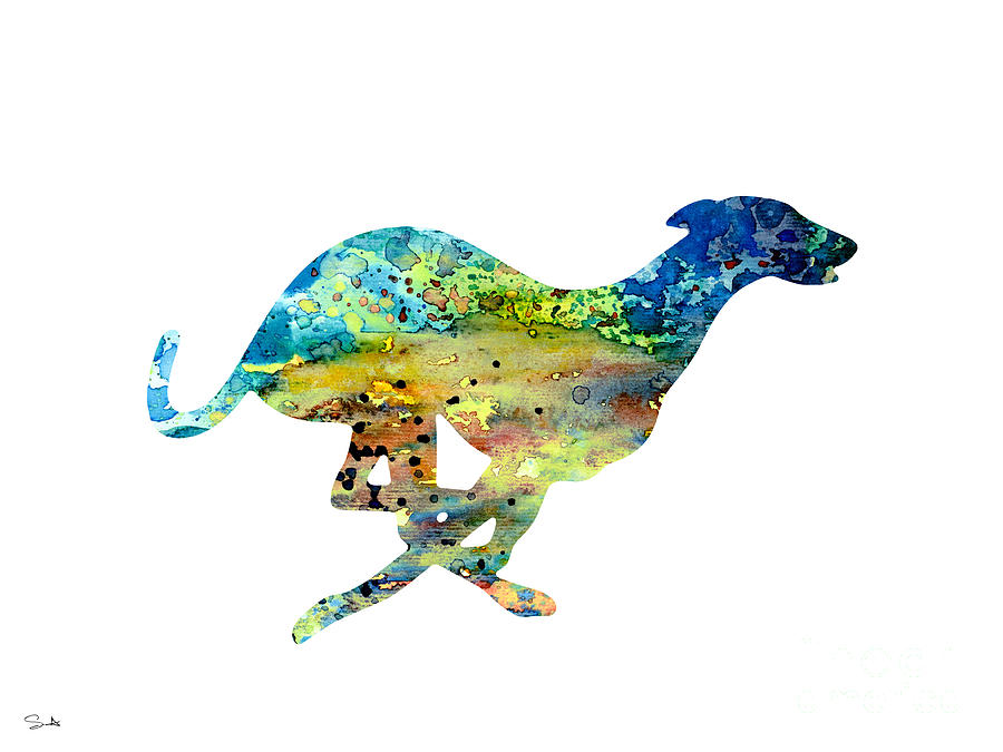 Greyhound Illustration Painting - Greyhound  #1 by Watercolor Girl