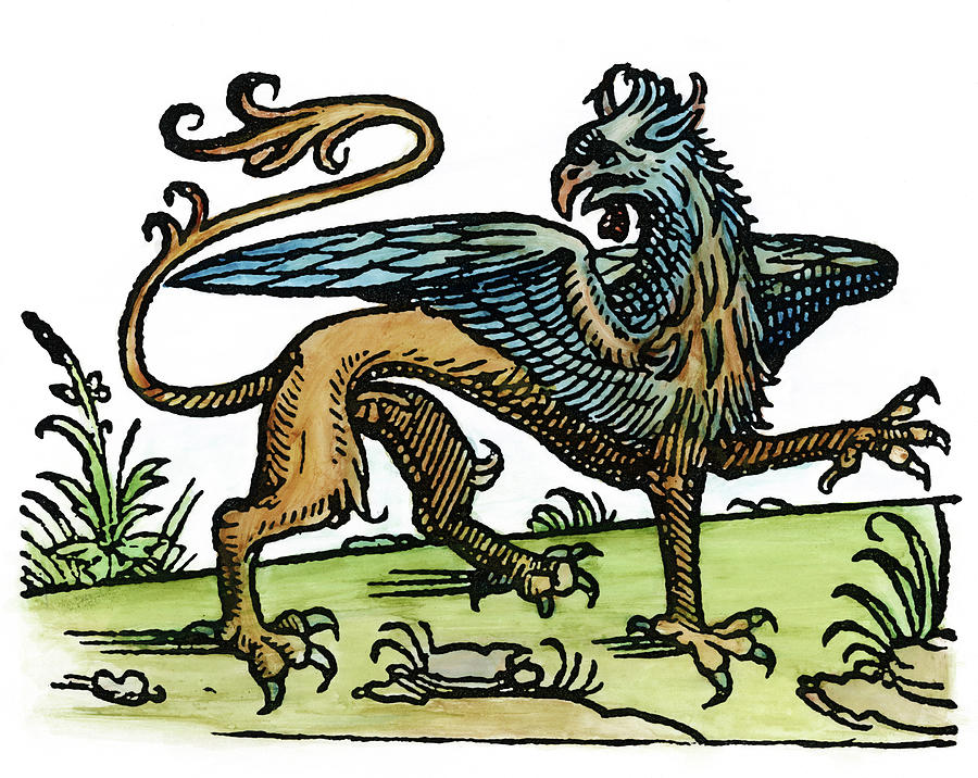 Griffin, 1533 #1 Painting by Granger