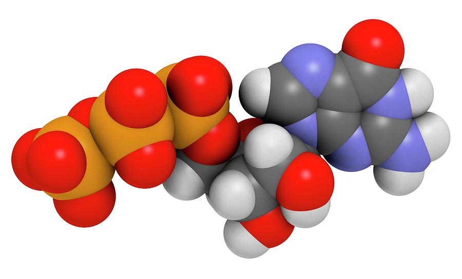 Guanosine Triphosphate Molecule #1 Photograph by Molekuul
