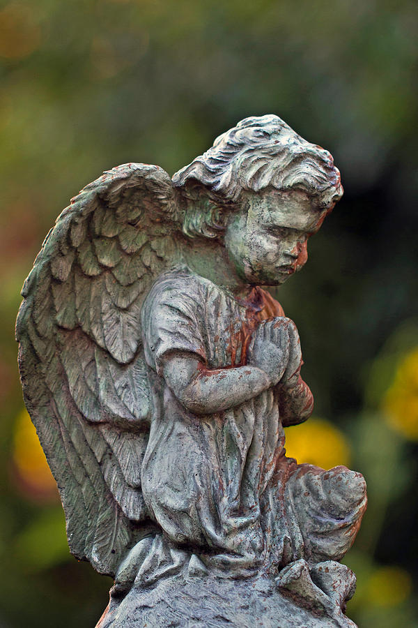 Guardian Angel #1 Photograph by Jerry Gammon