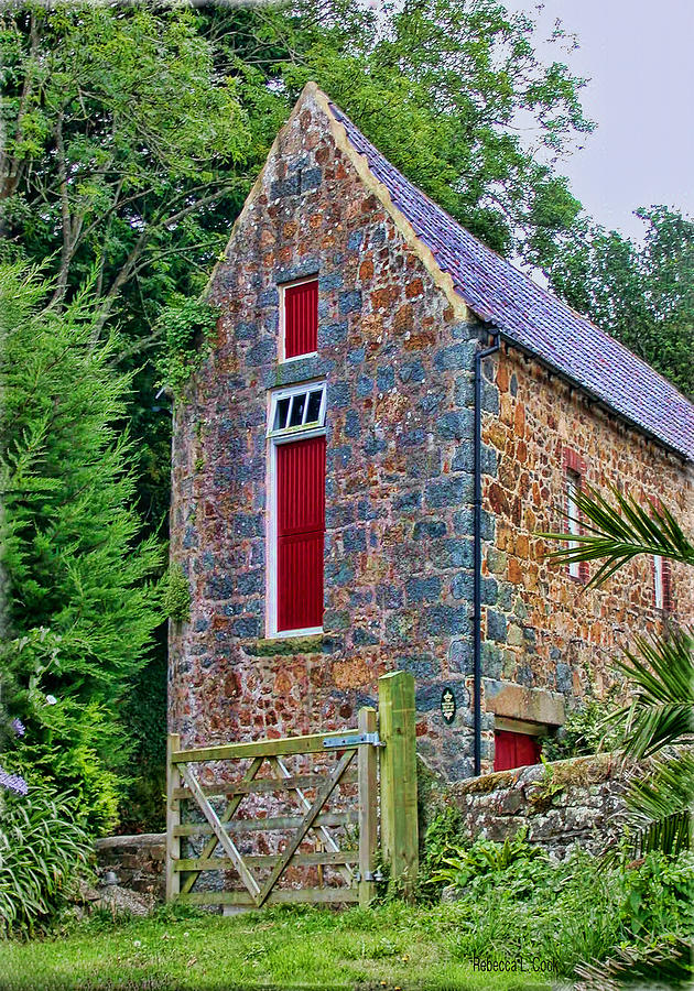 Tree Photograph - Guernsey Barn #1 by Bellesouth Studio
