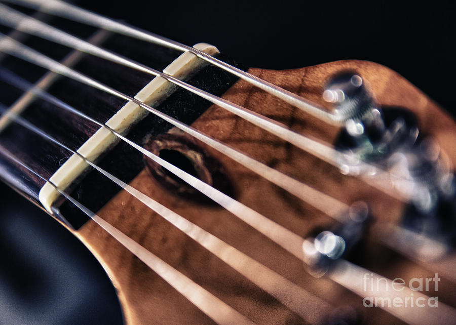 Abstract Photograph - Guitar Strings #1 by Stelios Kleanthous