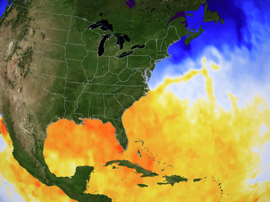 Gulf Temperature #1 Photograph by Nasa/gsfc-svs/science Photo Library