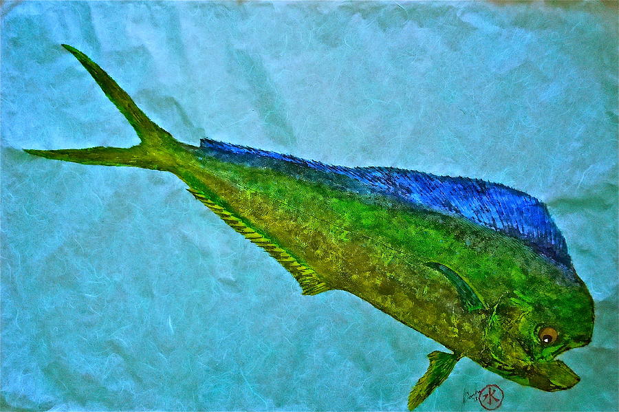 Gyotaku - Mahi Mahi - Dorado - Dolphinfish #1 Mixed Media by Jeffrey Canha