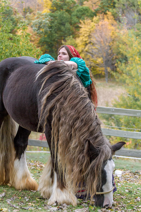 Gypsy Vanner Horse #1 Photograph by Toni Thomas