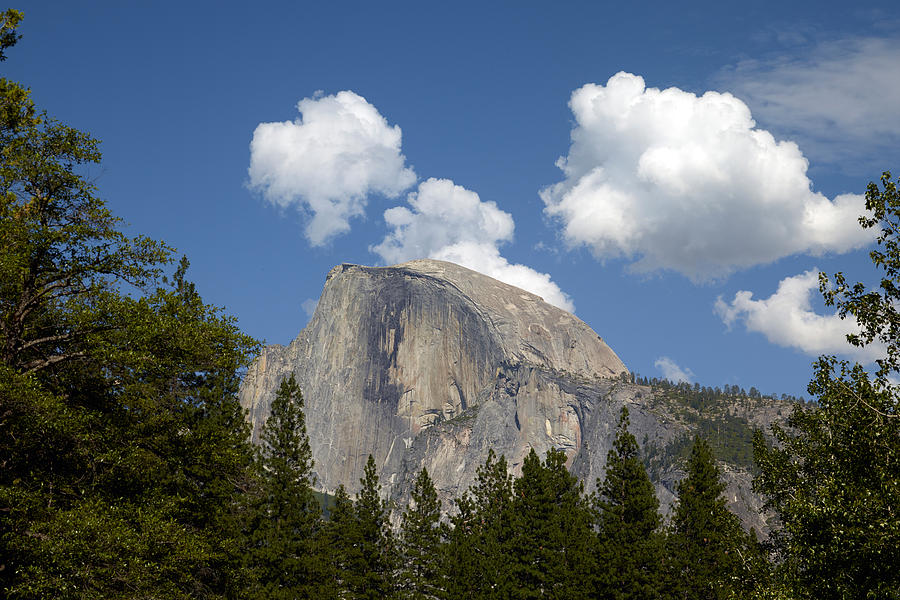 Half Dome at Yosemite National Park #1 Photograph by Carol M Highsmith