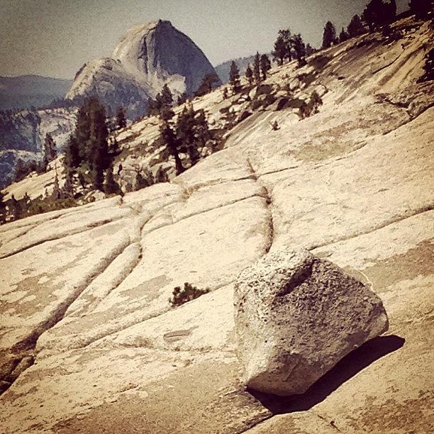 Yosemite National Park Photograph - Half Dome #1 by Jill Battaglia