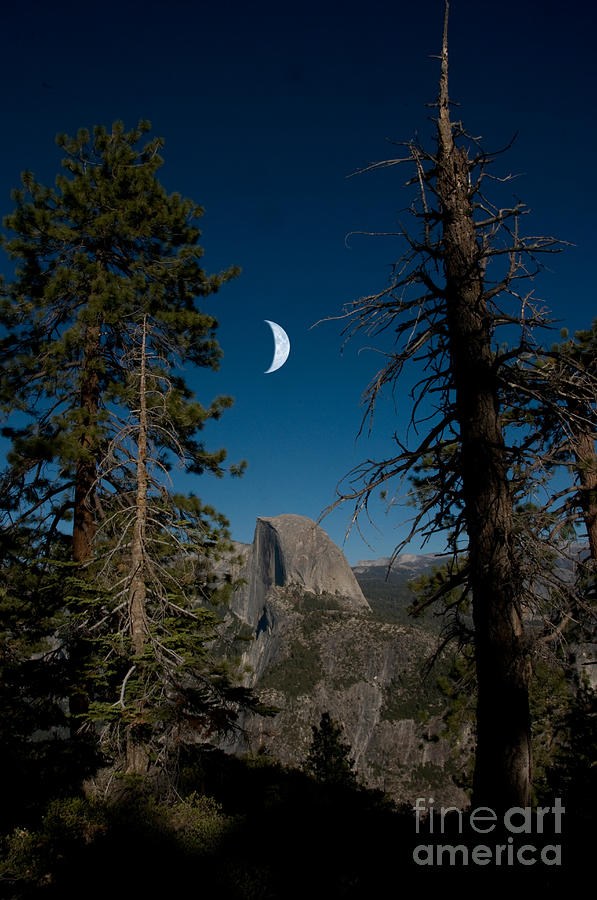 Yosemite National Park Photograph - Half Dome, Yosemite Np #1 by Mark Newman