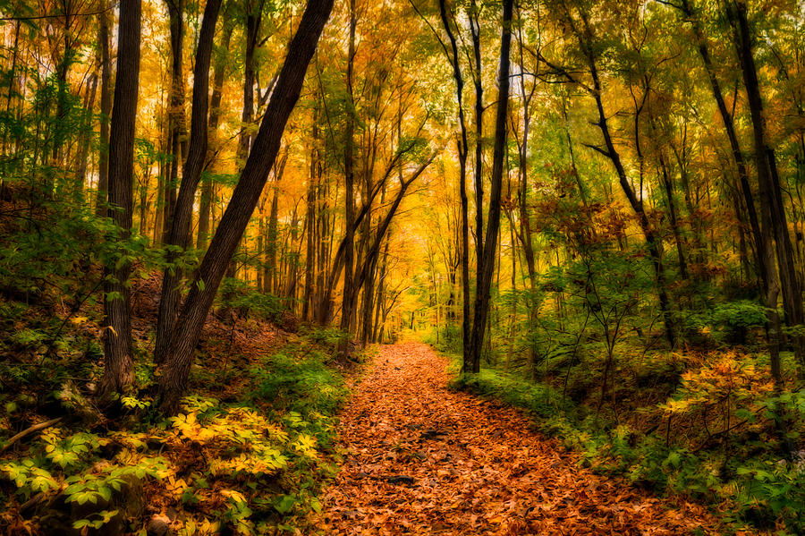 Fall Photograph - Halfway There #1 by Craig Szymanski