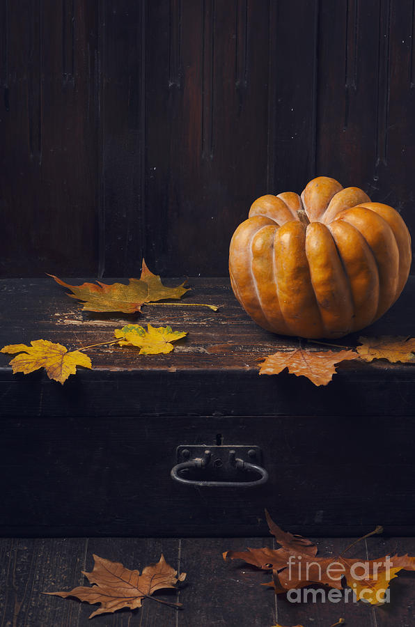 Halloween Pumpkin Photograph by Jelena Jovanovic