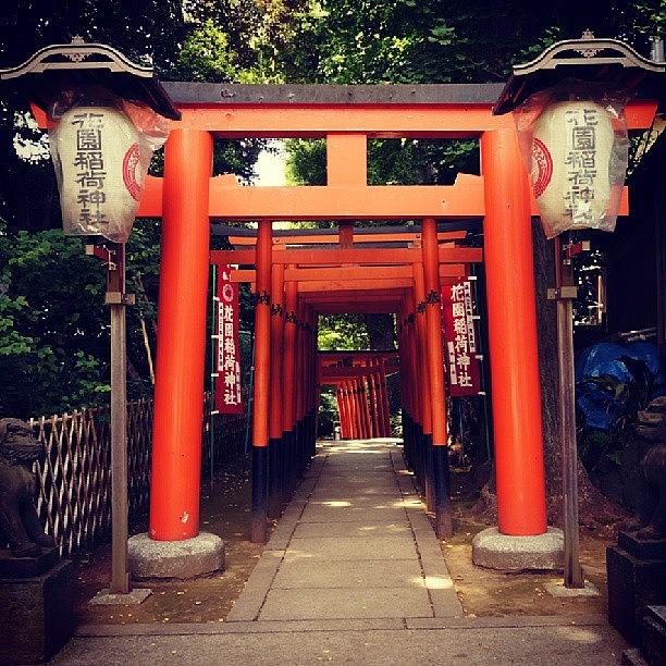 Lantern Still Life Photograph - Hanazono Inari Shrine #1 by My Senx