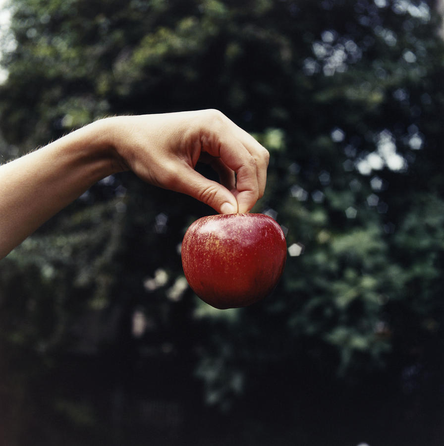 Hand Holding Apple #1 Photograph by Charles Gullung