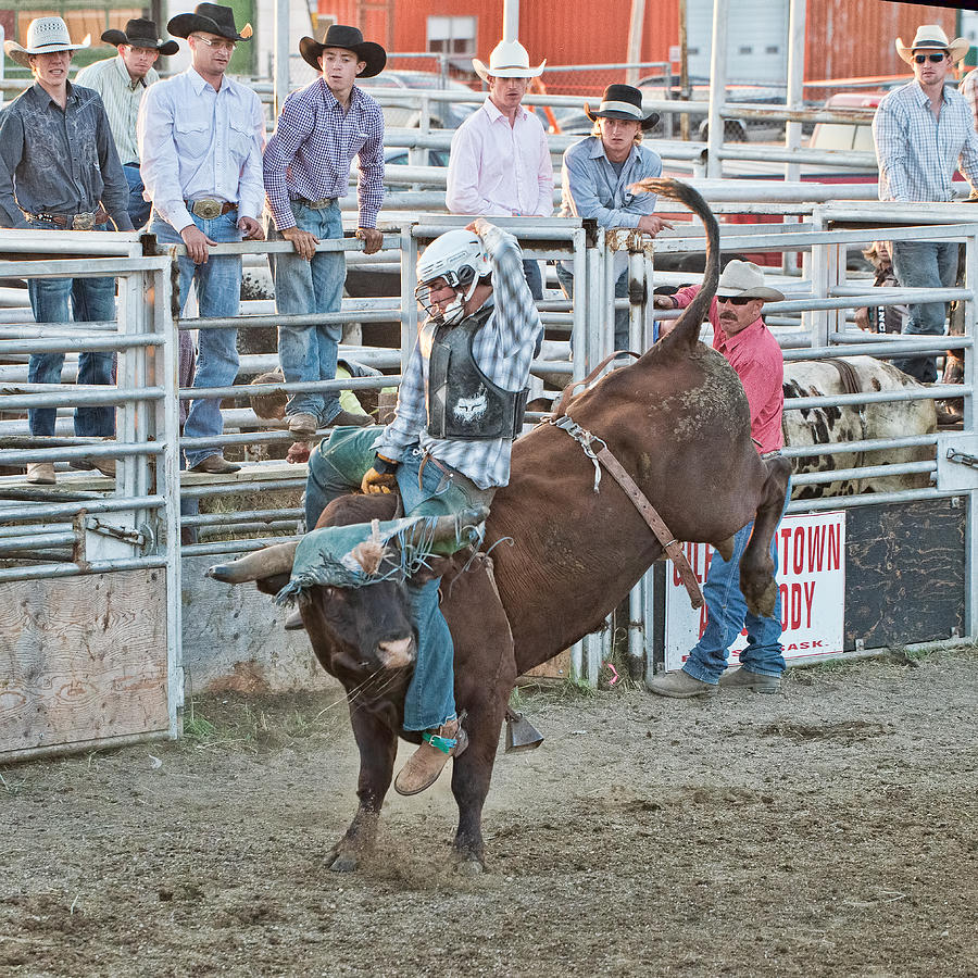 Hang On Cowboy Photograph By Marlene Andrew - Fine Art America