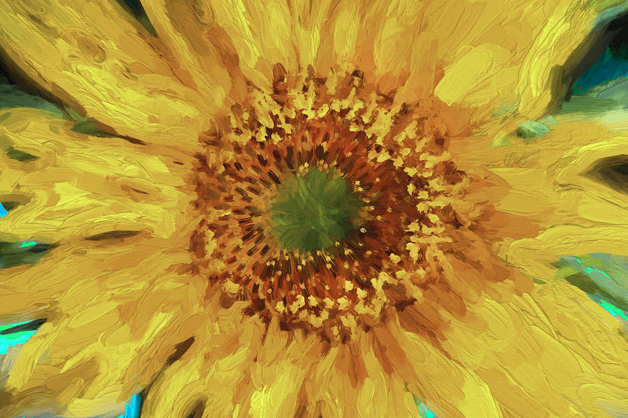Hannahs Sunflower  #1 Photograph by Rich Franco