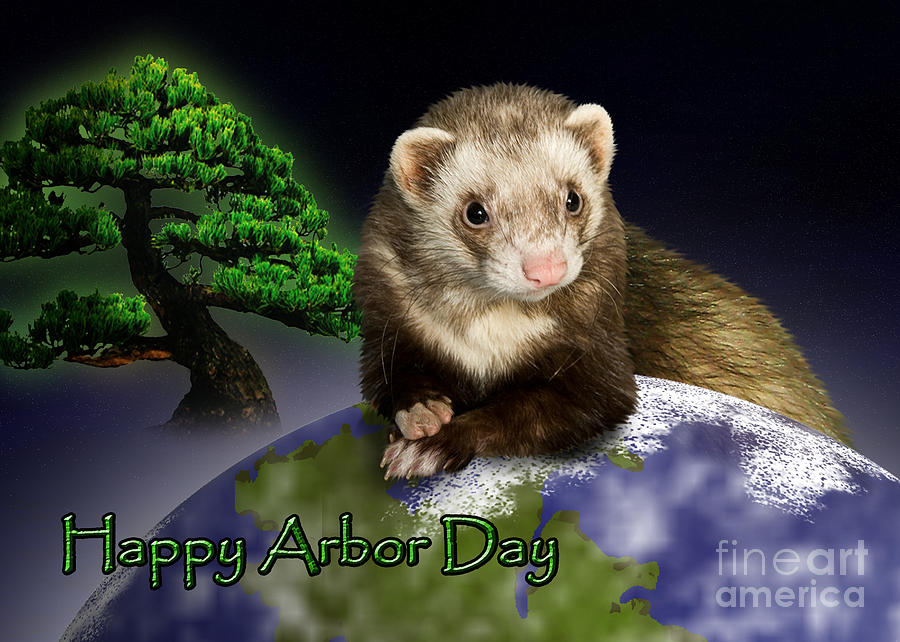 Nature Digital Art - Happy Arbor Day Ferret #1 by Jeanette K