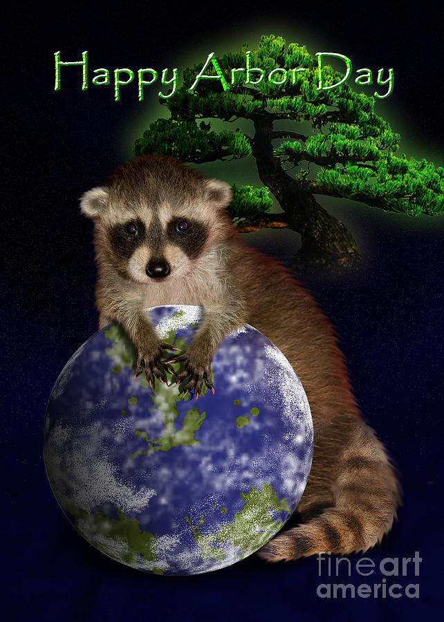 Nature Photograph - Happy Arbor Day Raccoon #1 by Jeanette K