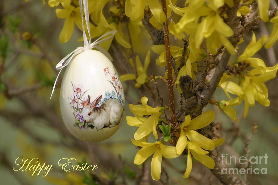 Happy Easter #1 Photograph by Living Color Photography Lorraine Lynch