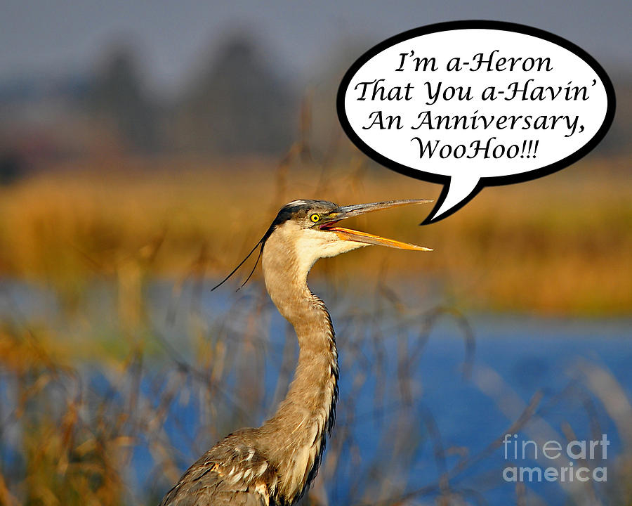 Heron Photograph - Happy Heron Anniversary Card #1 by Al Powell Photography USA