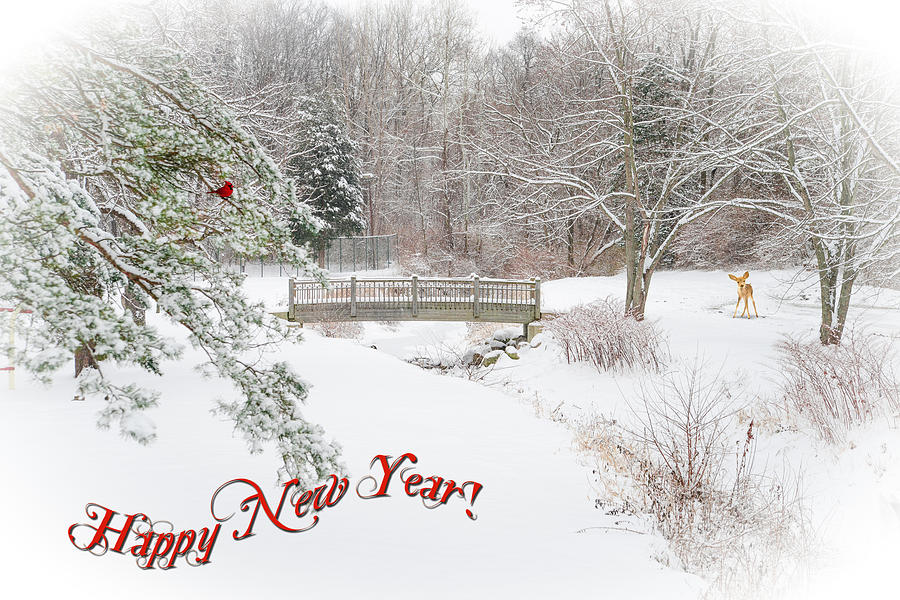 Happy New Year #1 Photograph by Mary Timman