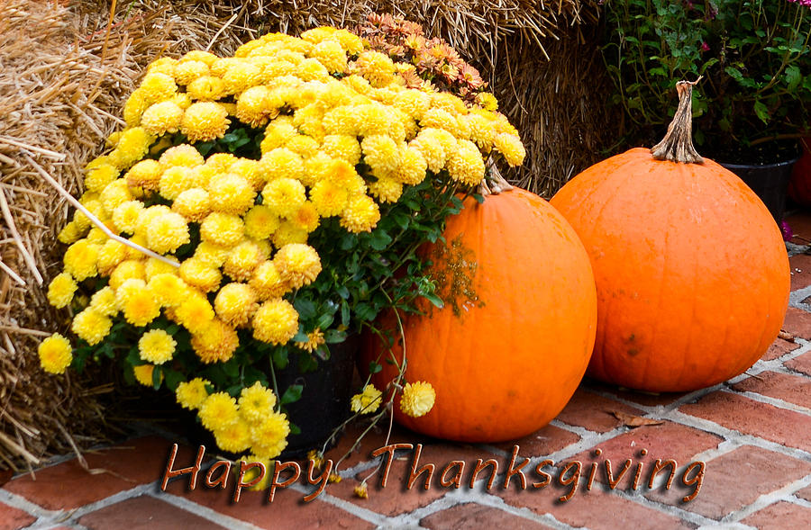 Happy Thanksgiving #1 Photograph by Mary Timman