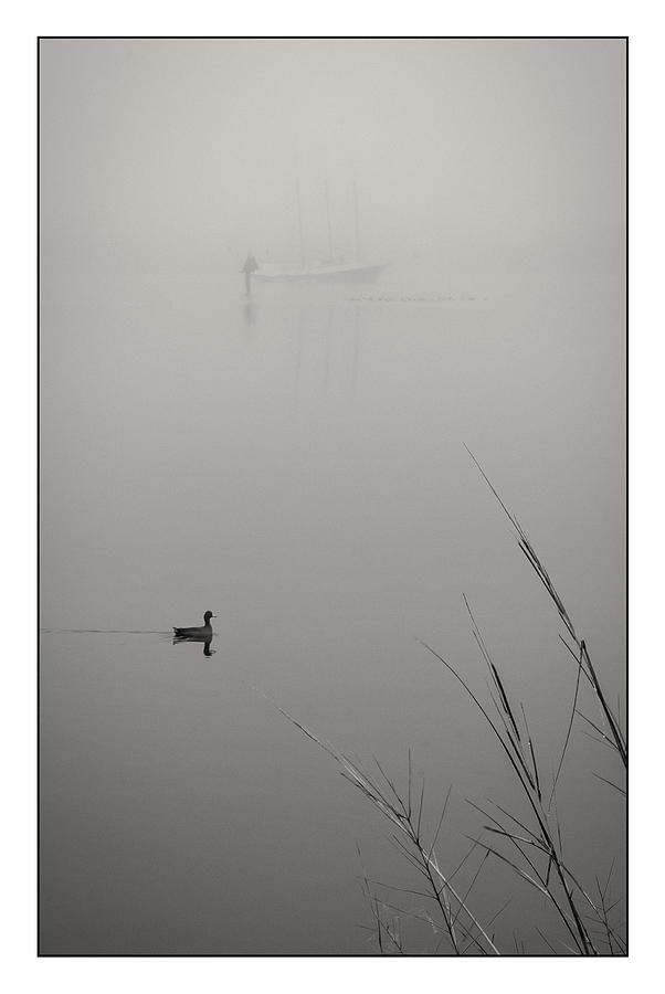 Harbor Fog No.2 by Alan Sherlock Harbor Fog No.2 by Alan Sherlock