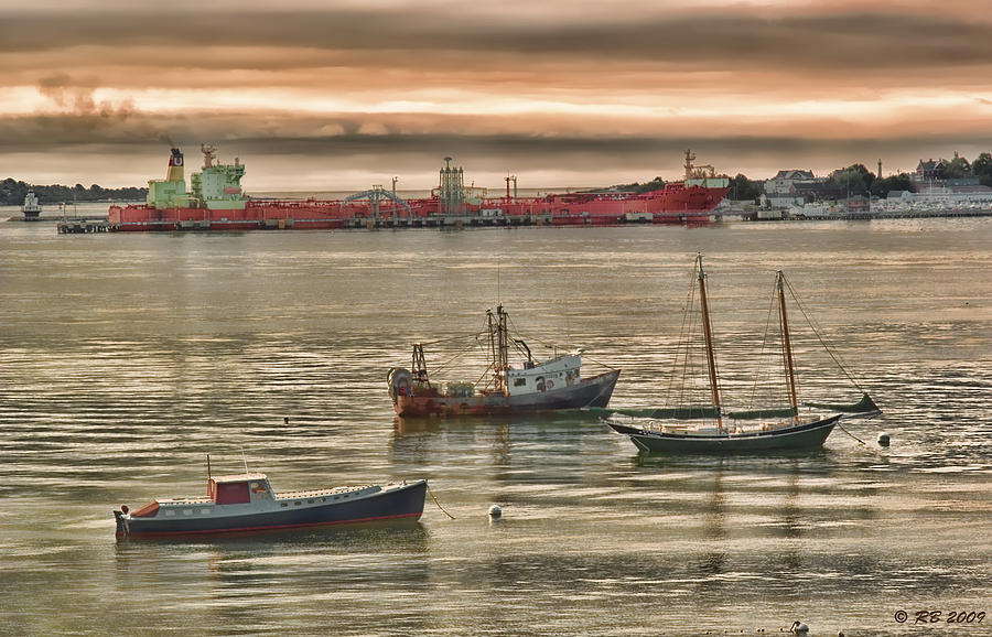 Harbor Morning Photograph by Richard Bean