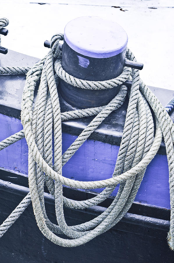 Anchorage Photograph - Harbour rope #1 by Tom Gowanlock