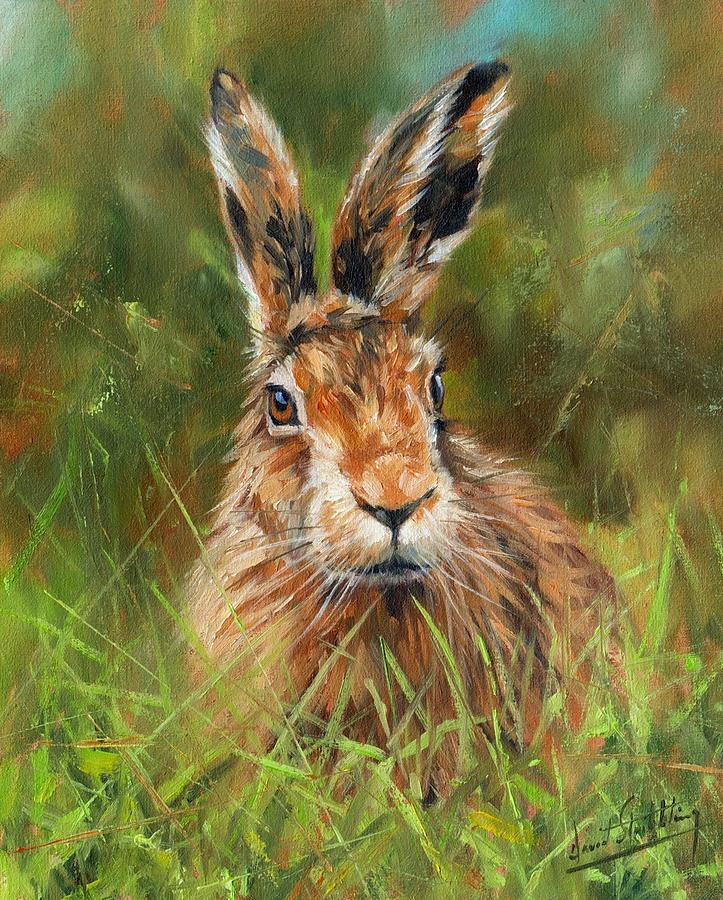 Animal Painting - hARE #1 by David Stribbling