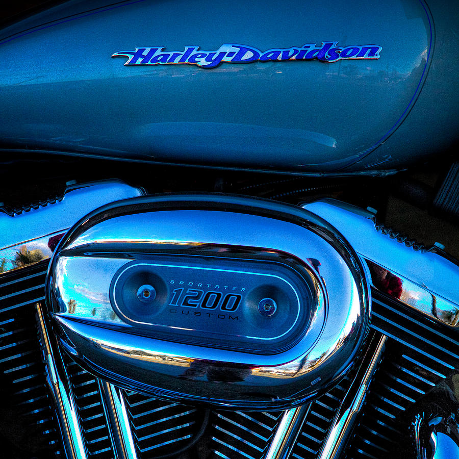 Harley Davidson Sportster 1200 #1 Photograph by David Patterson
