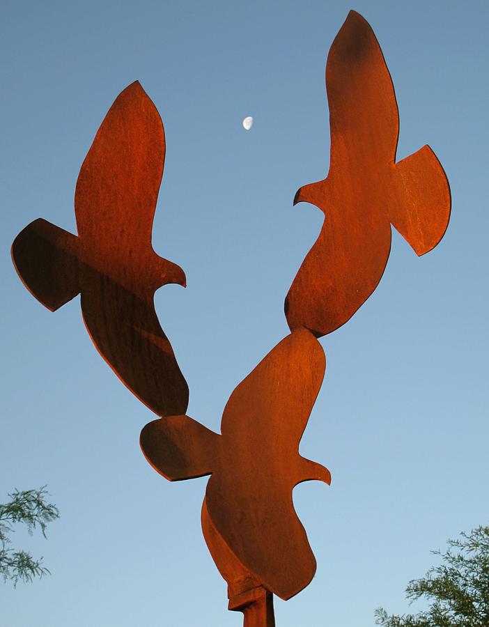 Harris Hawks #2 Sculpture by Robert Hartl