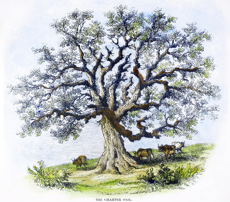 Hartford Charter Oak Painting by Granger - Fine Art America