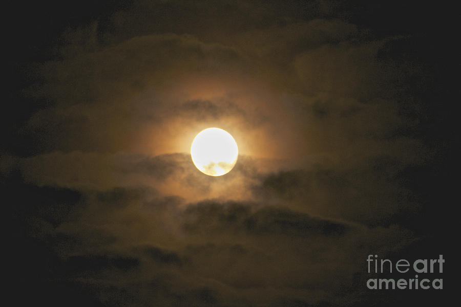 Harvest Moon in the Clouds #1 Photograph by William Norton