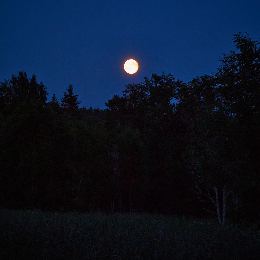 Harvest moon #1 Photograph by Jouko Lehto