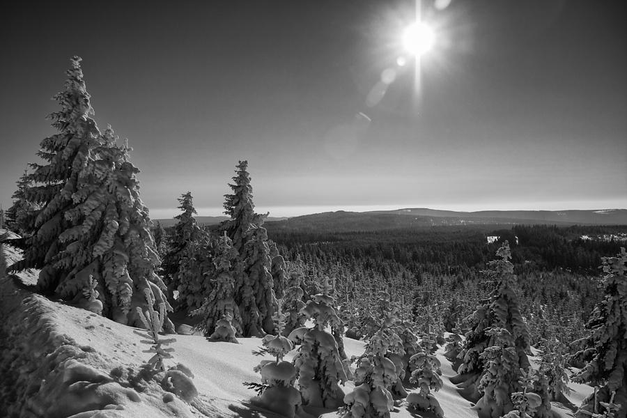 Goetheway in Winter, Harz Photograph by Andreas Levi